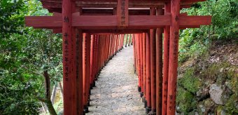 Yutoku Inari-jinja (Kashima, Saga), tunnel de Torii rouges