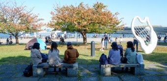 Minato Mirai 21 (Yokohama), vue sur les cerisiers à l'automne au port d'Akarenga