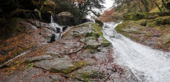 Gorge de Kikuchi (Kumamoto), vue sur la cascade Yonjusanman-no-taki à la fin de l'automne