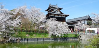 Château de Koriyama (Nara), tourelle Yagura et porte Otemon pendant la floraison des sakura