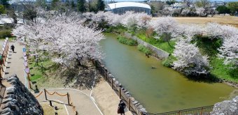 Château de Koriyama (Nara), vue panoramique depuis la plateforme d'observation de la base du donjon 2