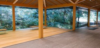 Meiji Jingu Museum, vue sur la forêt depuis l'intérieur du musée 2