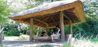 Meiji Jingu Gyoen (Tokyo), pavillon Gazebo du jardin