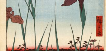 Estampe Horikiri no hanashobu de Utagawa Hiroshige (1857)