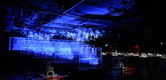 Art Aquarium Museum GINZA (Tokyo), espace d'exposition Goldfish waterfall et Goldfish stone lantern