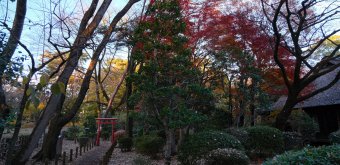 Musée d'architecture en plein air d'Edo-Tokyo, sentier forestier avec Torii et ferme de la famille Tenmyo