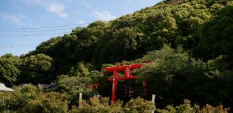 Zentsu-ji (Shikoku), Sanctuaire protecteur au pied du mont Koshiki-zan