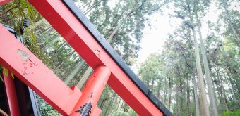 Nanzo-in (Sasaguri, Fukuoka), torii du sanctuaire Nanten Inari-jinja dans la forêt