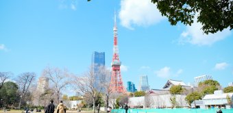 Parc Shiba (Tokyo), panorama depuis les pelouses avec vue sur Tokyo Tower et Zojo-ji 2