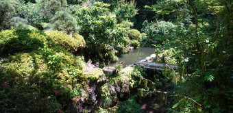 Festival des hortensias de la vallée Akigawa (Tokyo), plan d'eau à Minamisawa Ajisai-yama