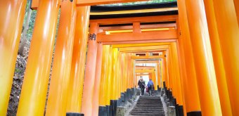 Fushimi Inari Taisha à Kyoto, Tunnel de Torii avec marches pour ascension du mont Inari