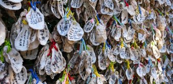 Kamakura, plaquettes votives Ema en coquille d'huître au temple Hase-dera