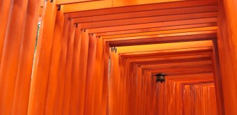 Fushimi Inari Taisha à Kyoto, Couloir de portes torii 2