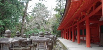 Sanctuaire Kasuga Taisha à Nara, Lanternes de pierre et bâtiment shinto