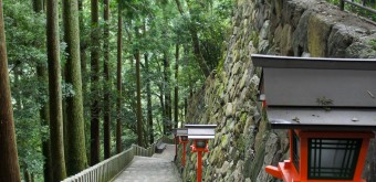Mont Kurama, Chemin de randonnée 12