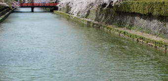 Canal Okazaki 3