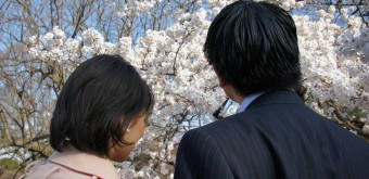 Shinjuku Gyoen (Tokyo), Couple admirant les cerisiers en fleurs au printemps