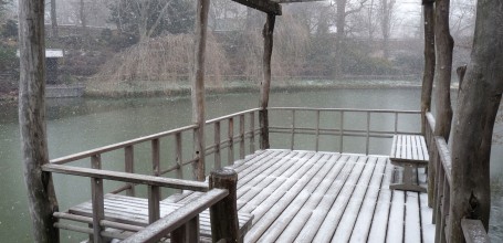 Jardin Japonais Brooklyn Botanic Garden