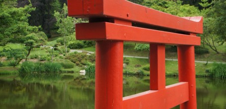 jardin-japonais-maulevrier-8