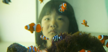 Aquarium Kaiyukan (Osaka), petite fille japonaise en visite 2