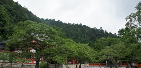 Mont Kurama, Pavillon principal du Kurama-dera 3