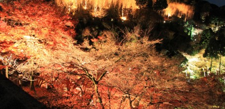 Kiyomizu-dera, light-up en période de momiji 3