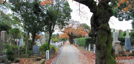 Cimetière Aoyama à Tokyo en automne 2