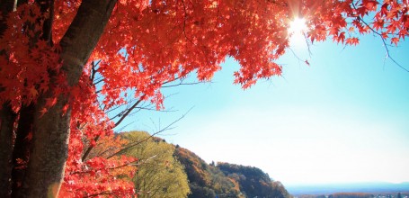 Lac Kawaguchiko (Mont Fuji), Vue sur le lac et les momiji en automne 2
