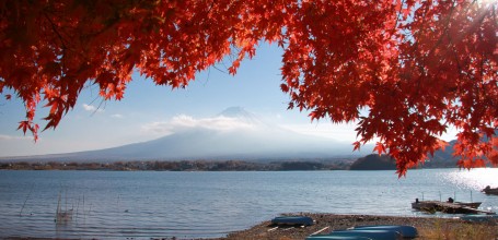 Lac Kawaguchiko (Mont Fuji), Vue sur le Mont Fuji et les momiji en automne