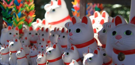 Gotoku-ji (Tokyo), Exposition de statuettes de chats Maneki-Neko 6