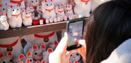 Gotoku-ji (Tokyo), Visiteurs prenant des photos des statuettes de Maneki-Neko 2