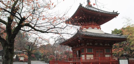 Kawagoe (Saitama), pagode Tahoto du temple Kita-in