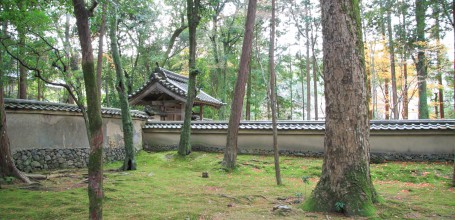 Saiho-ji temple Koke-dera (Kyoto), Jardin de mousses en automne 7