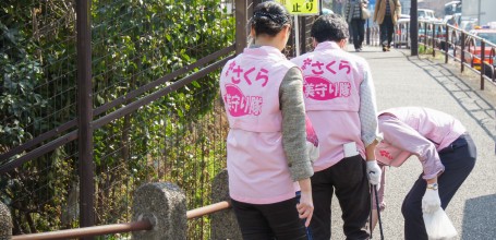 Chidorigafuchi à Tokyo, Volontaires collectant les déchets