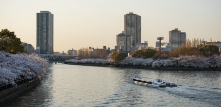 Parc Kema Sakuranomiya à Osaka, Berges de la rivières couvertes de cerisiers en fleurs