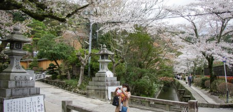 Chemin du Philosophe à Kyoto pendant la floraison des cerisiers au printemps