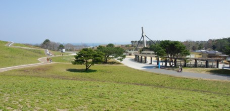 Hitachi Seaside park (Ibaraki) 4