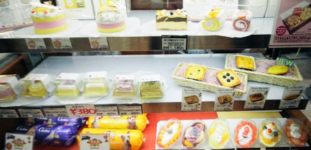 Magasin Chiens Et Chats Odaiba 6