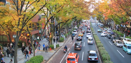 Avenue Omotesando (Tokyo), Circulation en automne