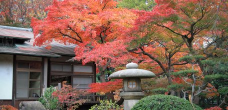 Koishikawa Korakuen (Tokyo), jardin japonais à l'automne