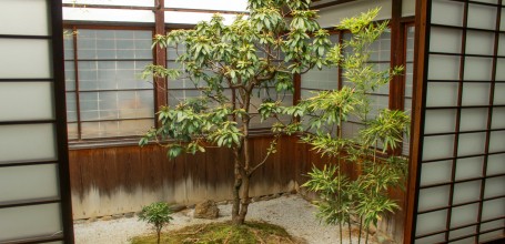 Daikaku-ji (Kyoto), Vue sur un jardin intérieur