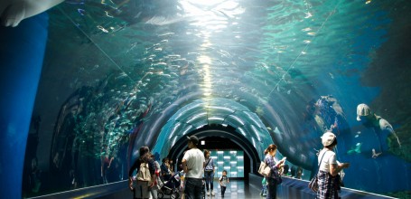 Aqua Park Shinagawa, attraction Water Tube