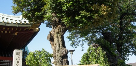 Plaques votives ema à Kanda Myojin à Tokyo