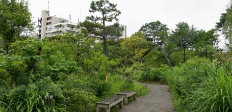 Mukojima Hyakka-en (Tokyo), Allée de promenade