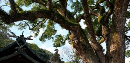 Onomichi, Chemin des temples 3