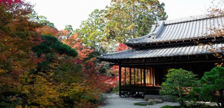 Tenju-an (Kyoto), vue sur le jardin et le pavillon