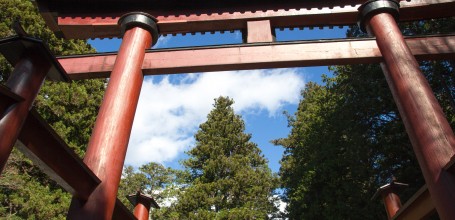 Kitaguchi Hongu Fuji Sengen (Fujiyoshida), Grande porte Otorii 2