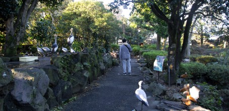 Zoo Shaboten d'Izu, Zone dédiée aux oiseaux