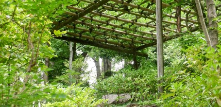 Musée Nezu (Tokyo), visite du jardin japonais 2