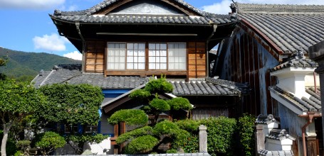 Udatsu no Machinami (Shikoku), Une ancienne maison et ses udatsu